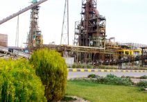 سایت و محصول